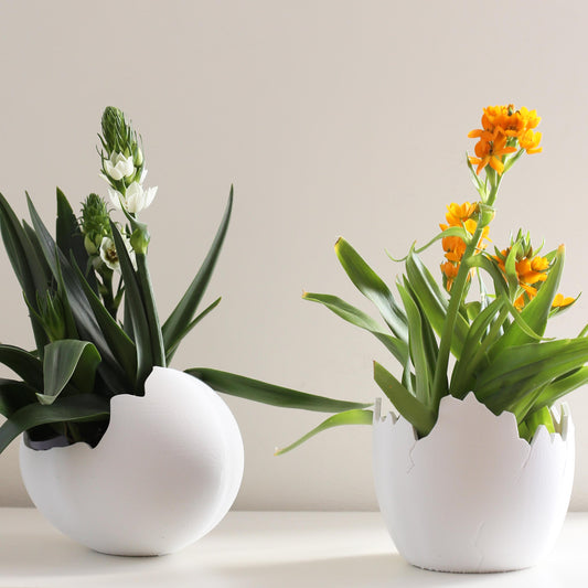 Dinosaurier Ei Schale Übertopf | Einzigartiger Dinosaurier Tabletop Indoor oder Outdoor Pflanztopf | Blumen, Sukkulenten, oder Gemüsetopf