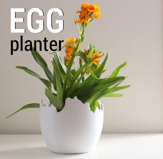 Dinosaurier Ei Schale Übertopf | Einzigartiger Dinosaurier Tabletop Indoor oder Outdoor Pflanztopf | Blumen, Sukkulenten, oder Gemüsetopf