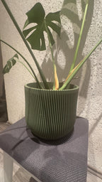 Barhöft Blumentopf • 3D Druck • Individuell gestaltbar in 4 Größen • Übertopf (Kopie)