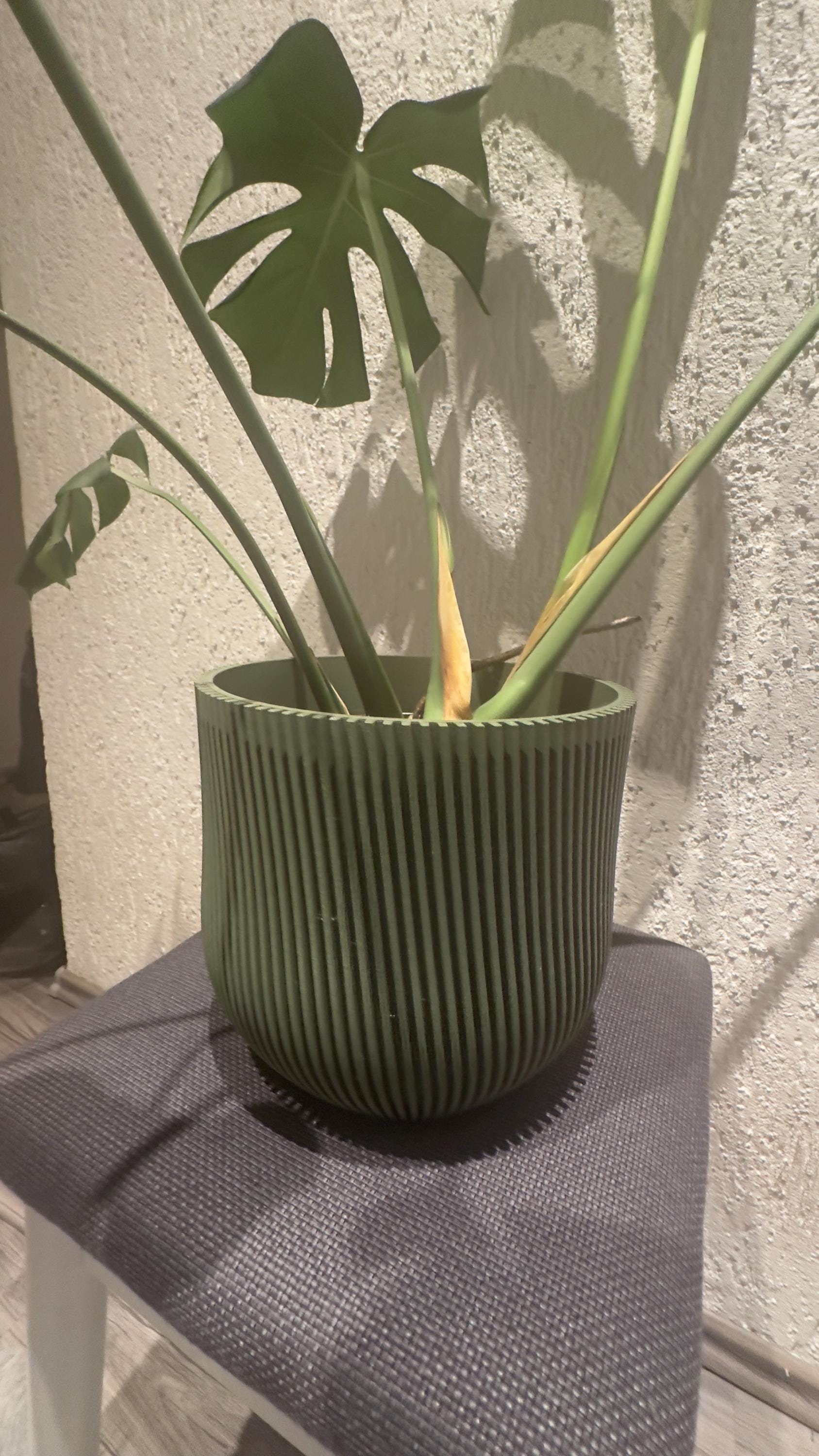 Barhöft Blumentopf • 3D Druck • Individuell gestaltbar in 4 Größen • Übertopf (Kopie)