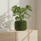 Malibu Pot • 3D Druck • Individuell gestaltbar in 7 Größen • Übertopf (Kopie)