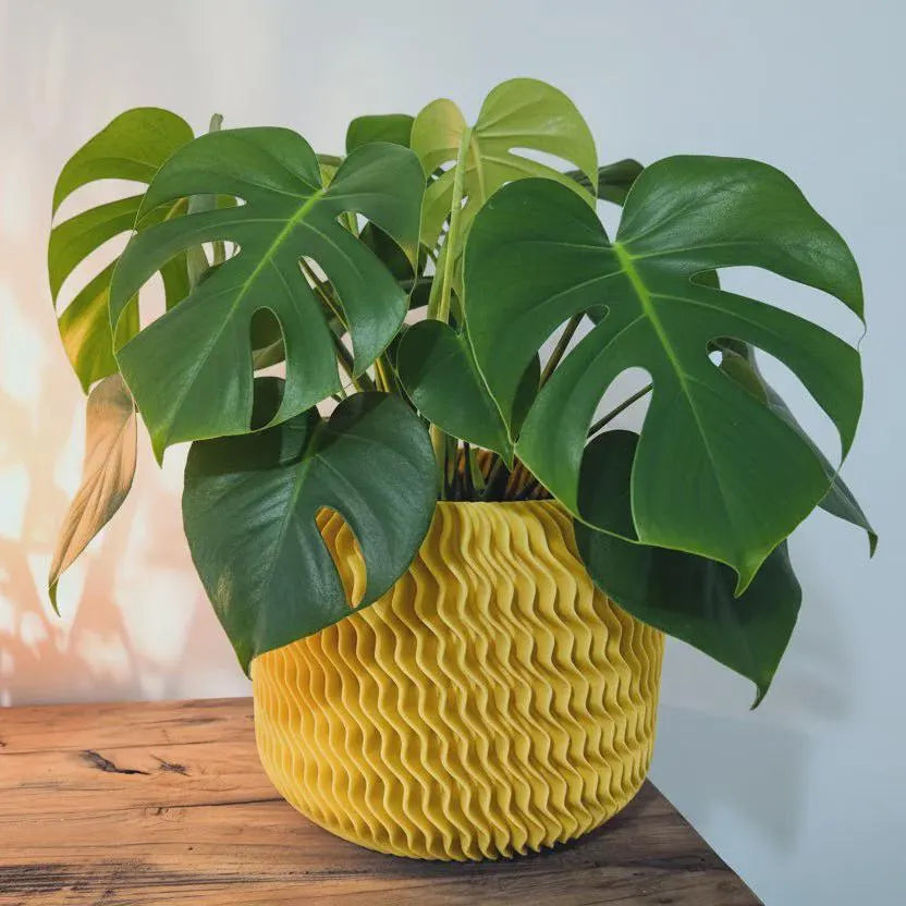 Malibu Pot • 3D Druck • Individuell gestaltbar in 7 Größen • Übertopf (Kopie)